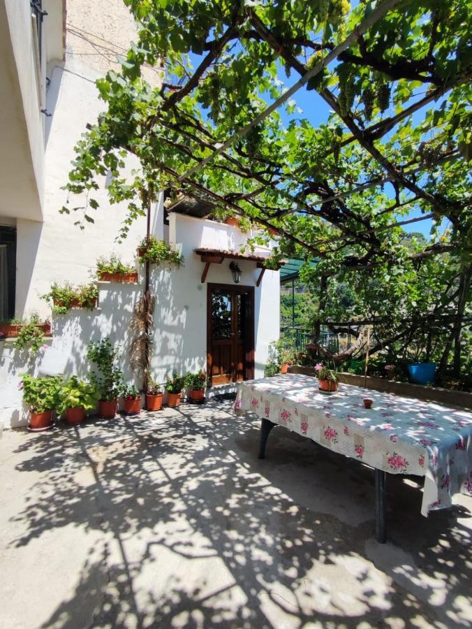 Ferienwohnung Eden Tra I Limoni Minori Exterior foto